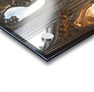Architectural Visualization Acrylic print