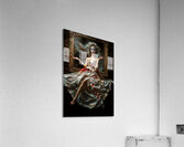  Fashion Harlequin  Acrylic Print