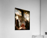  Living Sculpture  Acrylic Print
