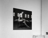 Confidence and Reserve  Acrylic Print