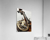  Forgotten Melodies  Acrylic Print