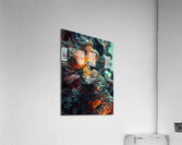 Edges of Perception  Acrylic Print