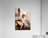 Twilight Setting  Acrylic Print