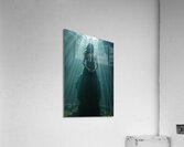  Celestial Spotlight  Acrylic Print