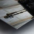  Whispered Secrets  Metal print