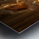 Private Moment Metal print