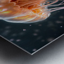  An Inner Glow  Metal print