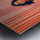  Tasteful Glimpse  Metal print