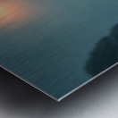 Natural World  Metal print