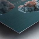 Cosmos of Existence  Metal print