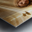  Stillness of Thought  Metal print