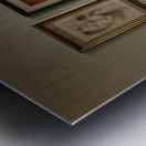 Confident Gaze  Metal print