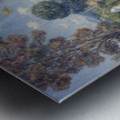 Ceremonial Slowness  Metal print