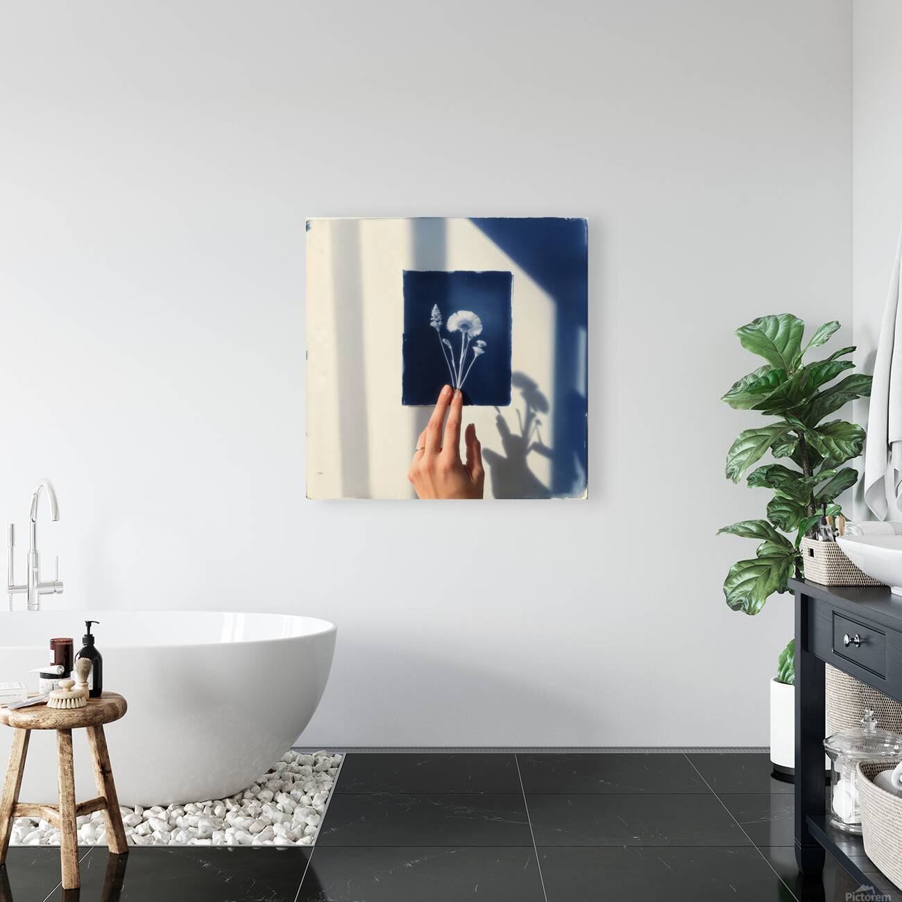  A Cyanotype Print Reproduction