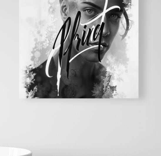  Blend of Monochrome  by Aniima Illussiya