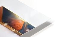 Future of Design  HD Metal print