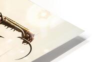 Where Tech Meets   HD Metal print