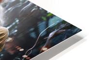 Mesmerizing Charm  HD Metal print