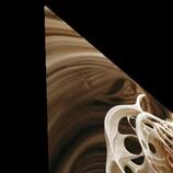 Flawless Fascination  Impression metal HD