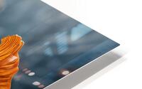Illuminating the Future  HD Metal print