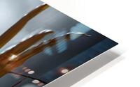 AI Brilliance  HD Metal print