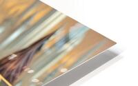  Graceful Beauty  HD Metal print