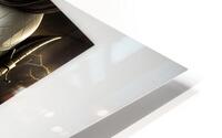 Enrapturing Angel  HD Metal print
