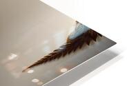 Creative Touch  HD Metal print