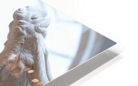 Sweet Angel  HD Metal print