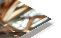  Blond and Curly  HD Metal print