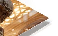 Illuminated by Sunlight  HD Metal print