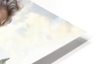 Dreamlike Setting  HD Metal print