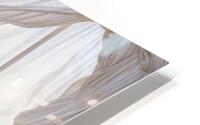 Windowsill  HD Metal print