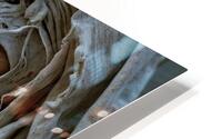 Deeper Story  HD Metal print
