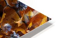 Autumn Leaves  HD Metal print