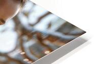 Second Skin  HD Metal print