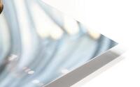 Visually Captivating  HD Metal print