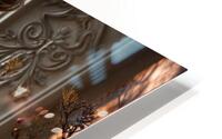Poised and Inviting  HD Metal print