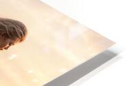 Fading Light  HD Metal print