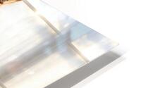 Luxurious Appearance  HD Metal print