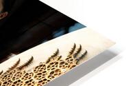  Delicate Curves  HD Metal print
