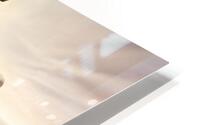 Advanced Technology  HD Metal print