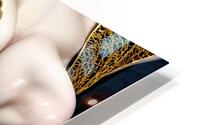 Delicate Filigree  HD Metal print
