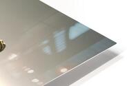 Alabaster Skin  HD Metal print