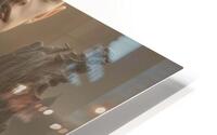  Inorganic Elements  Impression metal HD