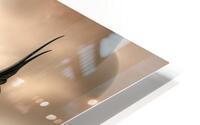 Feathered Wing  HD Metal print