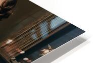  Intriguing and Intimate  HD Metal print