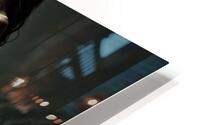 Slender and Toned  HD Metal print
