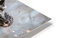Desperate Motion  HD Metal print