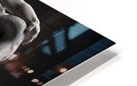 Unusual and Dynamic  HD Metal print